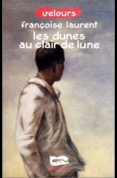 Les dunes au clair de lune